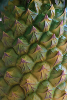 Ananas, realistyczna figurka gumowa