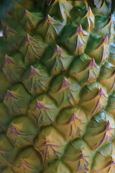 Ananas, realistyczna figurka gumowa