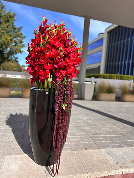 Fiberglass Black Mieczyki, ekskluzywna kompozycja w czarnej donicy