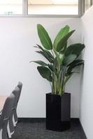 Bananowiec Fiberglass, sztuczna roślina w donicy