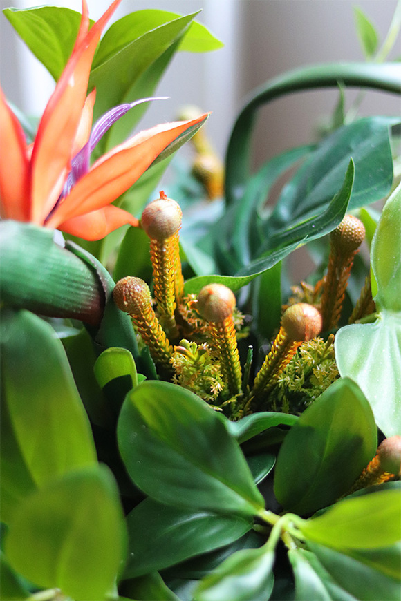 Strelicja Królewska Laos Deluxe, dekoracja kwiatowa do wnęki