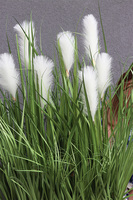 Decorina Saute, sztuczna trawa z pióropuszami w stretchu