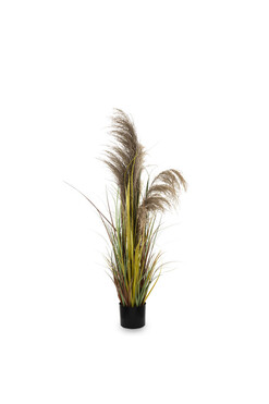 Divali A, sztuczna trawa z kłosami, wys.120cm