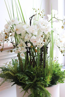 Fiberglass Grande Leucadio efektowny storczyk w białej donicy z fiberglass