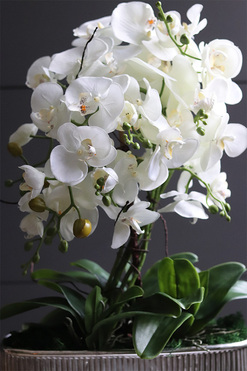 Hillton Silver Long, wysokiej jakości sztuczny storczyk, wys.58cm 