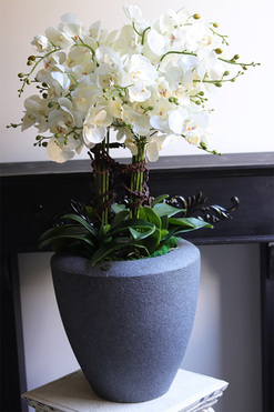 Grey House 2, sztuczny storczyk w ceramicznej donicy, wys.106cm