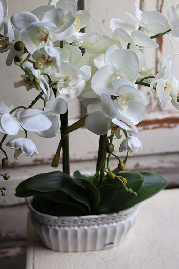 Feruna, sztuczny storczyk w ażurowej donicy, wys.57cm 