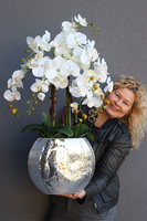 sztuczny storczyk Explosion Oval