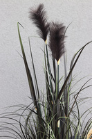 Black Mirror Glamour 2, sztuczna czarna trawa w donicy