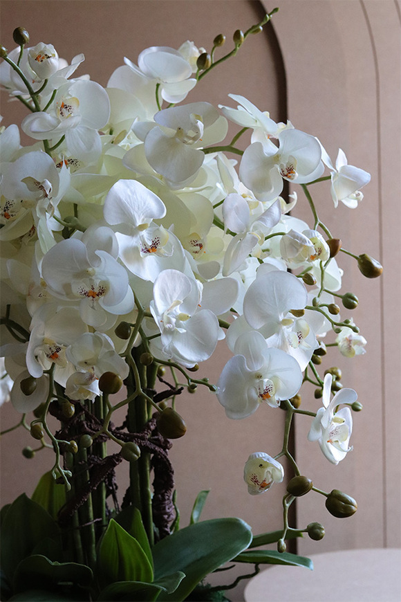 Black Investo, sztuczny storczyk w szarej donicy na stojaku