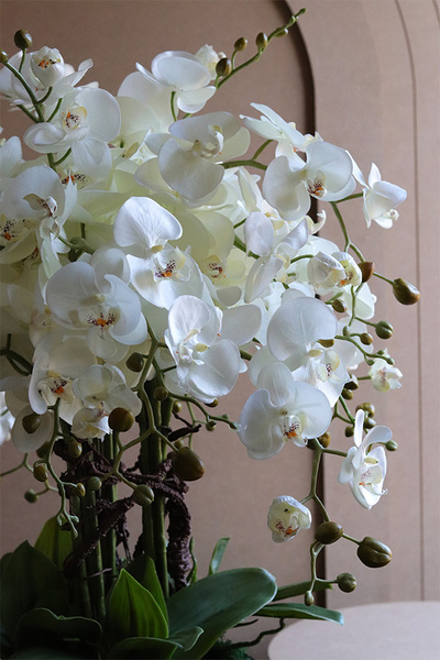 Black Investo, sztuczny storczyk w szarej donicy na stojaku