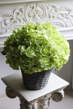 bogaty kosz z hortensjami, Provance Pistacio 2, wys.45cm