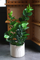 Zamiokulkas Moment, sztuczna roślina w doniczce