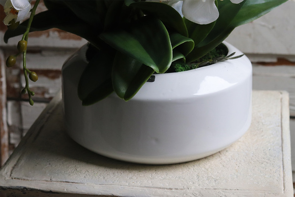 White Gaina, wysokiej jakości sztuczny storczyk