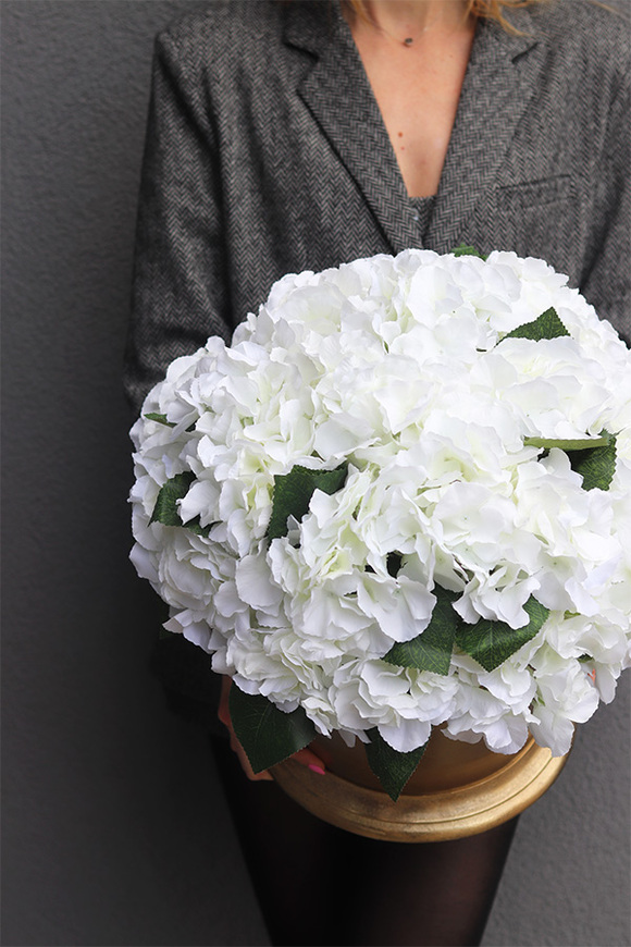 Hydrangea Champagne, kompozycja kwiatowa w coolerze