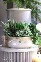 Arriba, kompozycja sukulenty w owalnej donicy