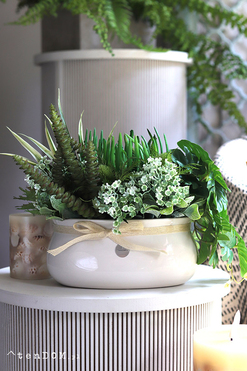 Arriba, kompozycja sukulenty w owalnej donicy, wym.26x30x20cm