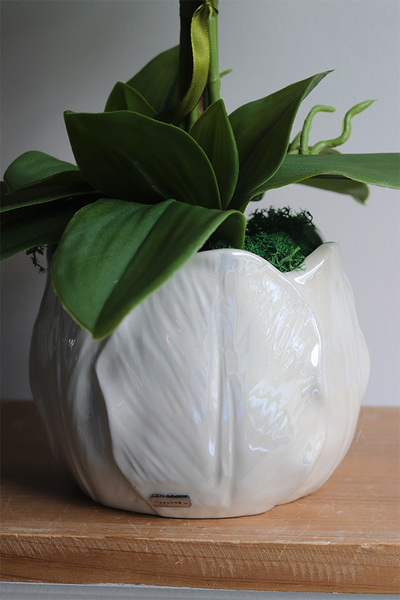 Helios, wysokiej jakości sztuczny storczyk