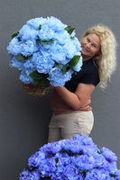 Blue Sky, niebieski kosz z peoniami