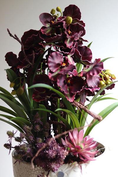 Fiolette Design, nowoczesny sztuczny storczyk z sukulentami, wym.54cm