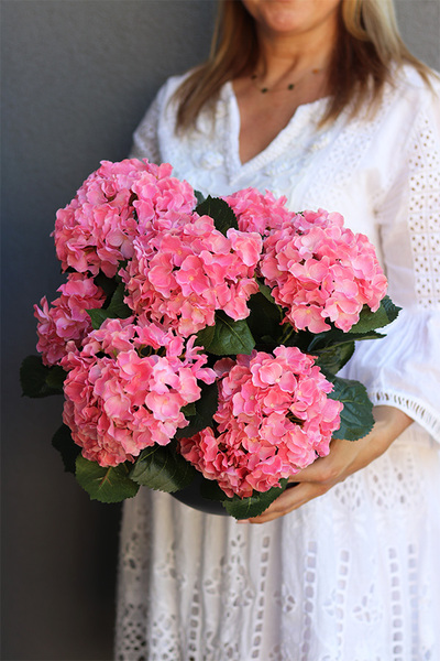 Pelargonia Bowl, kompozycja pelargonie w donicy