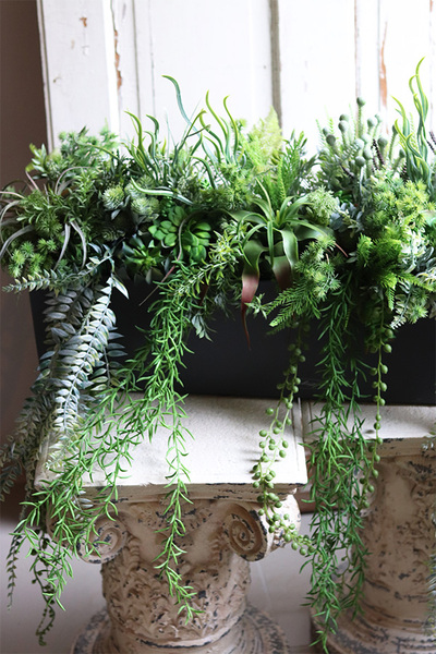 Balconera Zielona Mila, ekskluzywna zielona kompozycja w donicy