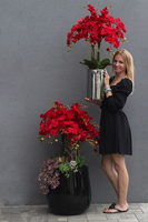 Red Velvet Fiberglass, duży czerwony storczyk podłogowy