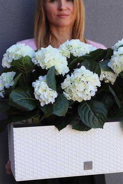 Hortensje Biel, sztuczne kwiaty na balkon i parapet	