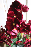 dekoracja świąteczna ze storczykiem, Velurro Bordo