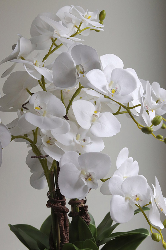 Mattia, sztuczny storczyk w donicy