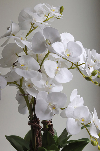 Mattia, sztuczny storczyk w donicy