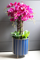 Fuksja Oceano, sztuczny storczyk w donicy na stojaku