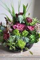 Maria Camino A, kompozycja sukulenty w okrągłej donicy, wym.20x28cm