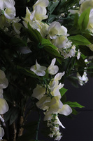 Wisteria Biała Silverita, sztuczna roślina w donicy