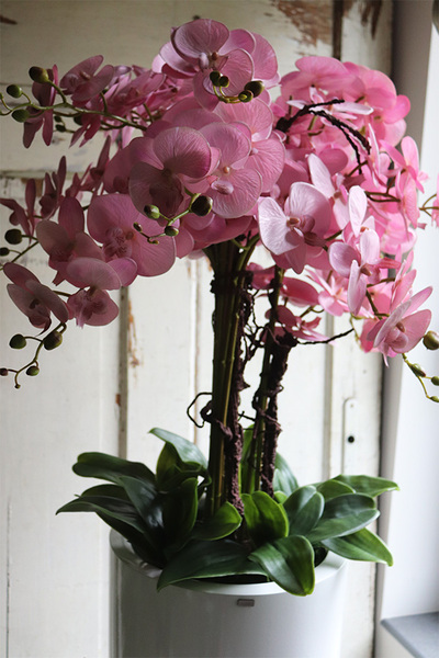 Fiberglass Grande Pudrovy, storczyk w białej donicy z fiberglass, wys.125cm 