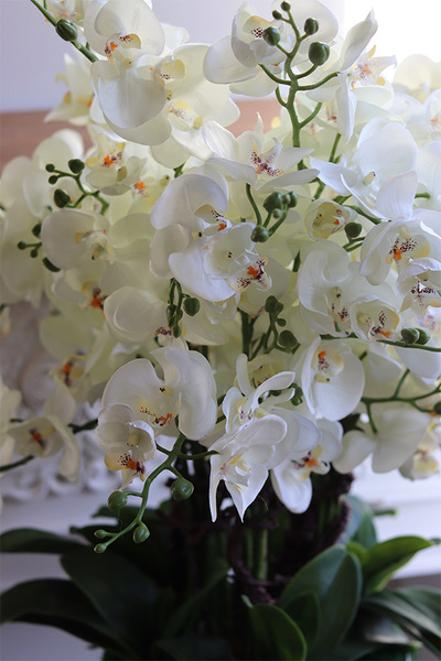 Padwa Grey 2, sztuczny storczyk w szarej donicy