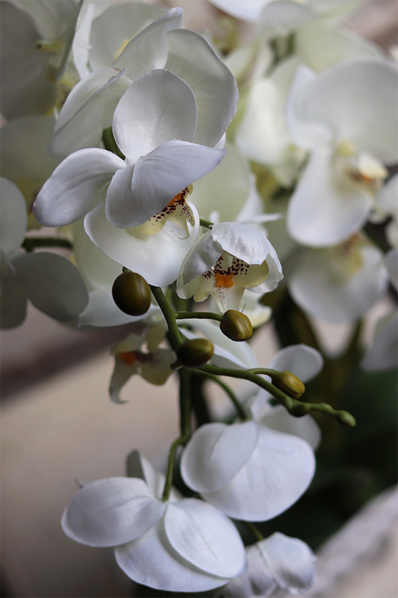 Feruna, sztuczny storczyk w ażurowej donicy, wys.57cm 