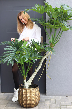 Filodendron Bellis, drzewko sztuczne w donicy, wys.180cm