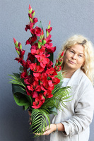 Mieczyki Czerwień 2, bukiet nagrobny we wkładzie