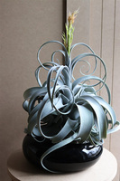 Oplątwa Piano, sztuczna roślina w doniczce