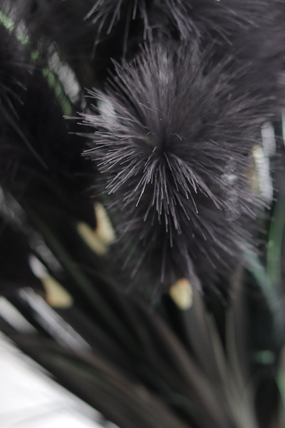 Black Grass, sztuczna czarna trawa w donicy