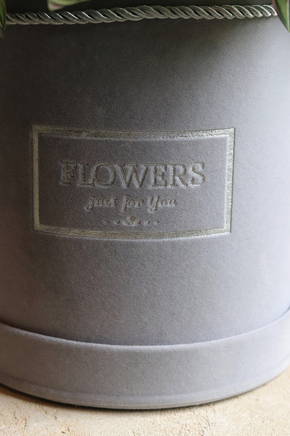 Violanta, flowerbox z hortensjami