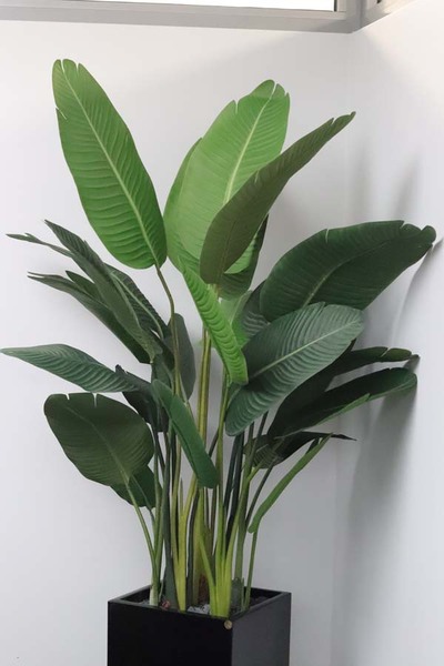 Bananowiec Fiberglass, sztuczna roślina w donicy