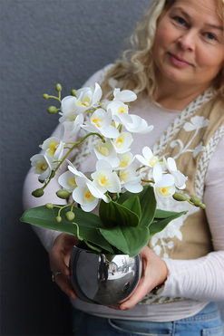 Silver Mini Basics, storczyk w srebrnym naczyniu, wys.38cm