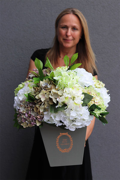 flowerbox z hortensjami, Mediano Hydrangea, wym.54x44cm 