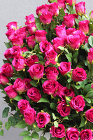 Carmen, podłogowa dekoracja kwiatowa