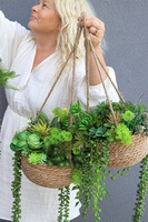 Green Trio, kompozycja zielona w wiszącym koszu