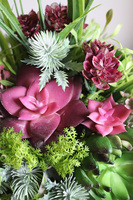 Maria Camino A, kompozycja sukulenty w okrągłej donicy, wym.20x28cm