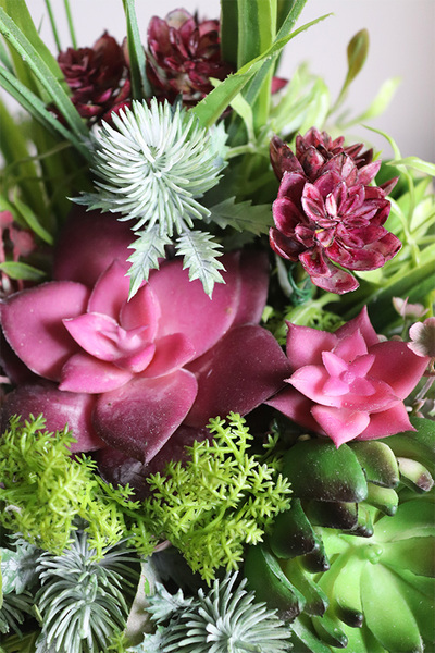 Maria Camino A, kompozycja sukulenty w okrągłej donicy, wym.20x28cm