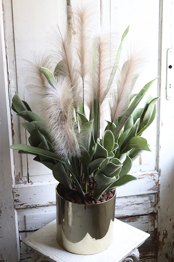 Nostera Figaro, kompozycja roślinna w złotej donicy, wys.90cm